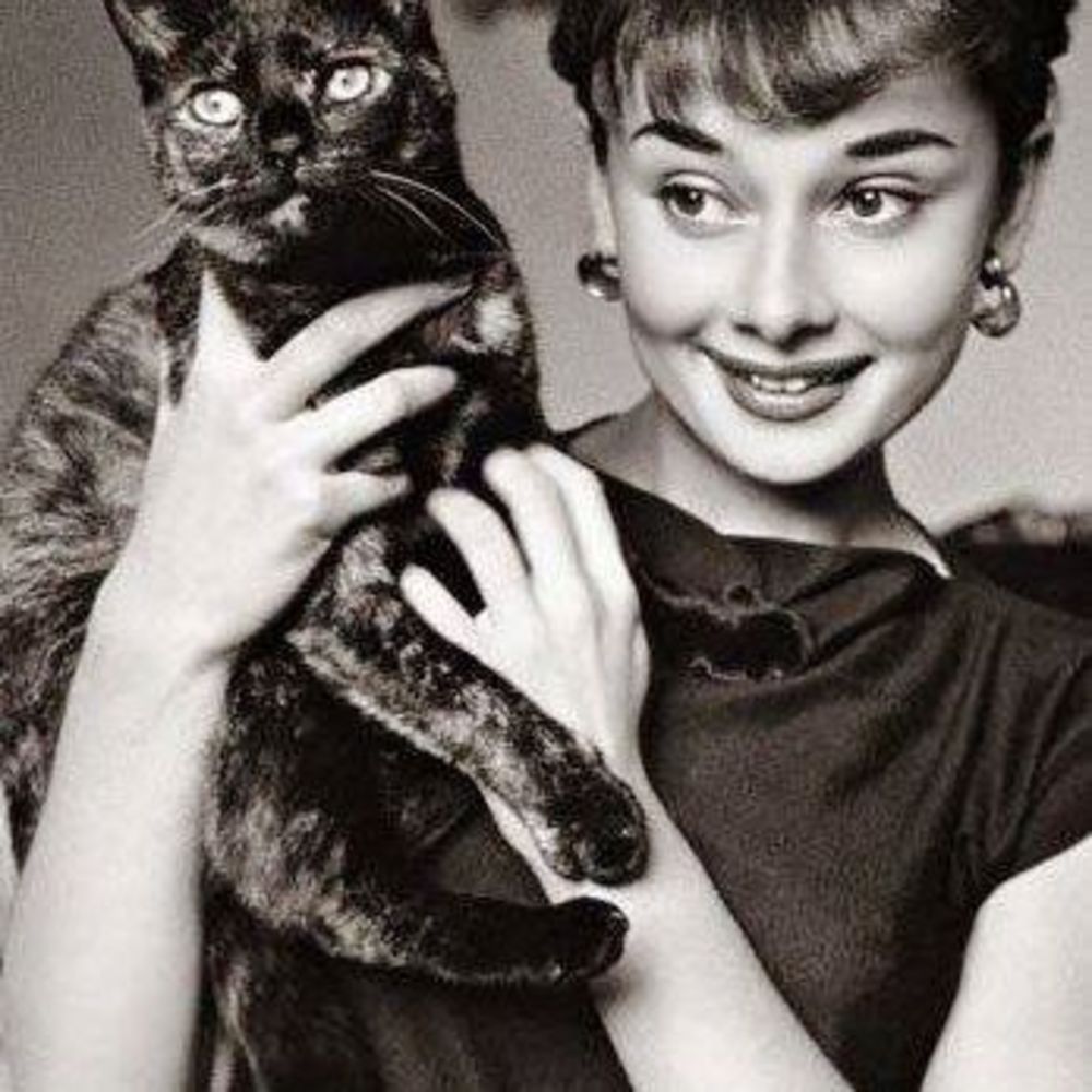 Meet your Posher, Nina